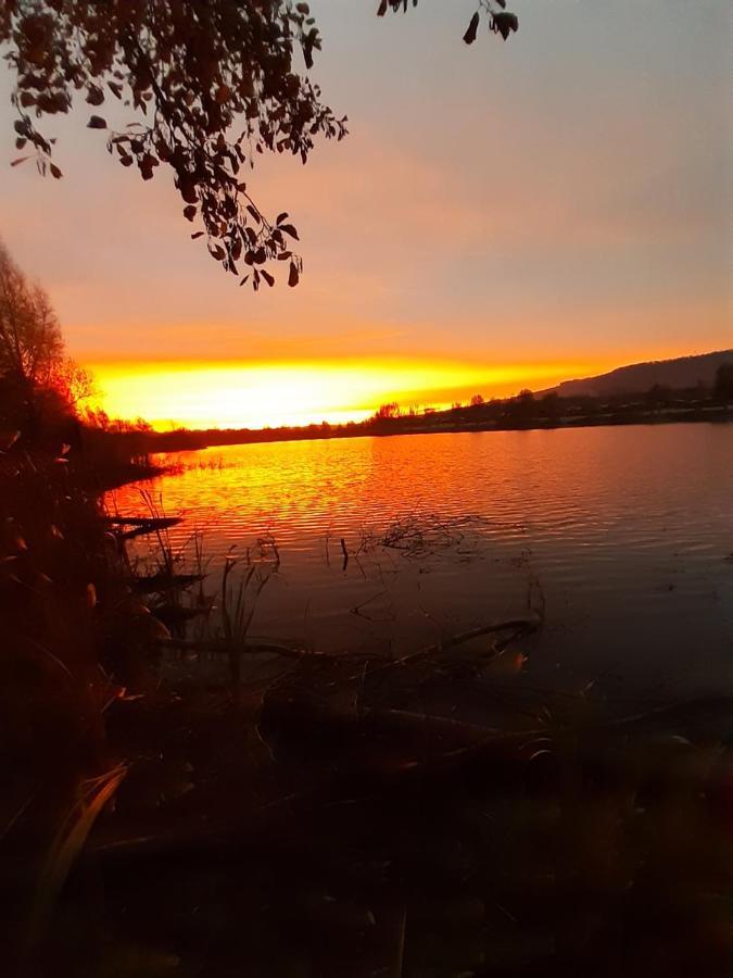 Ferienhaus Am Weserberglandsee Lauenforde Exteriör bild