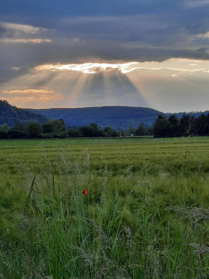 Ferienhaus Am Weserberglandsee Lauenforde Exteriör bild